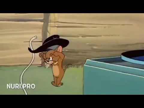 Tom and jerry prikol