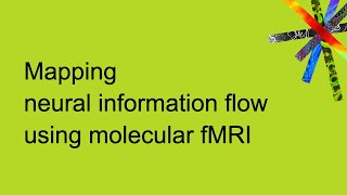 Mapping neural information flow using molecular fMRI