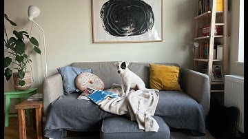 The city life of an introverted homebody in Oslo, Norway