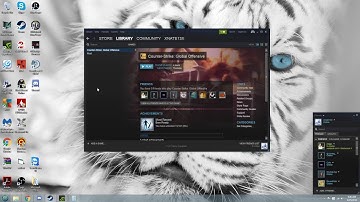 Video for Steam Support - Problem with loading up CS:GO (Does not start)