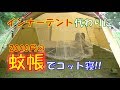 インナーテントの代わりに2000円の蚊帳を使ってコット寝してみた