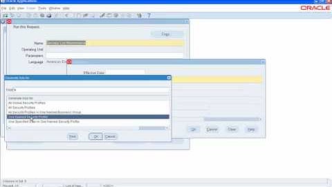 Oracle R12 Multi-Org Access Control