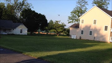 JohnC RC HELICOPTER  MCPX V2  INVERTED 3D PRACTICE