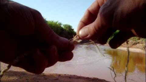 making cordage out of deer sinew.How to put them together.