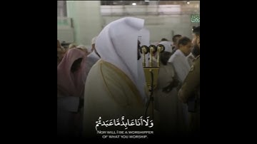 سورة الكافرون | ياسر الدوسري (كامله)
