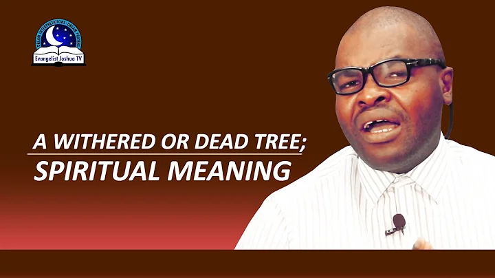 Árvore morta ou seca: significado espiritual revelado!