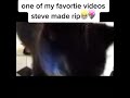 The cat that says Die