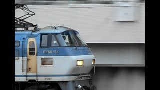 2019.03.02 JR貨物 EF66-114 + コキ6両 通過 千里丘駅 東海道本線貨物支線