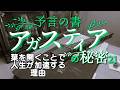 【アガスティアの葉の秘密21】アガスティアの葉を開くことで人生が加速する理由
