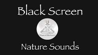 Relaxing Sleep Music with Soft Birds &amp; Nature Sounds | Piano Sleeping Music | ASMR | Black Screen