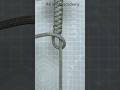 Ultimate Paracord Loop Trick You Need to Know!#knot #howto !