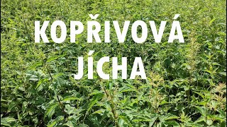 JÍCHA kopřivová, zákvas, hnojivo #garden #homemade