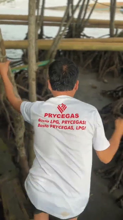 Download lagu Jungle mangroves haha