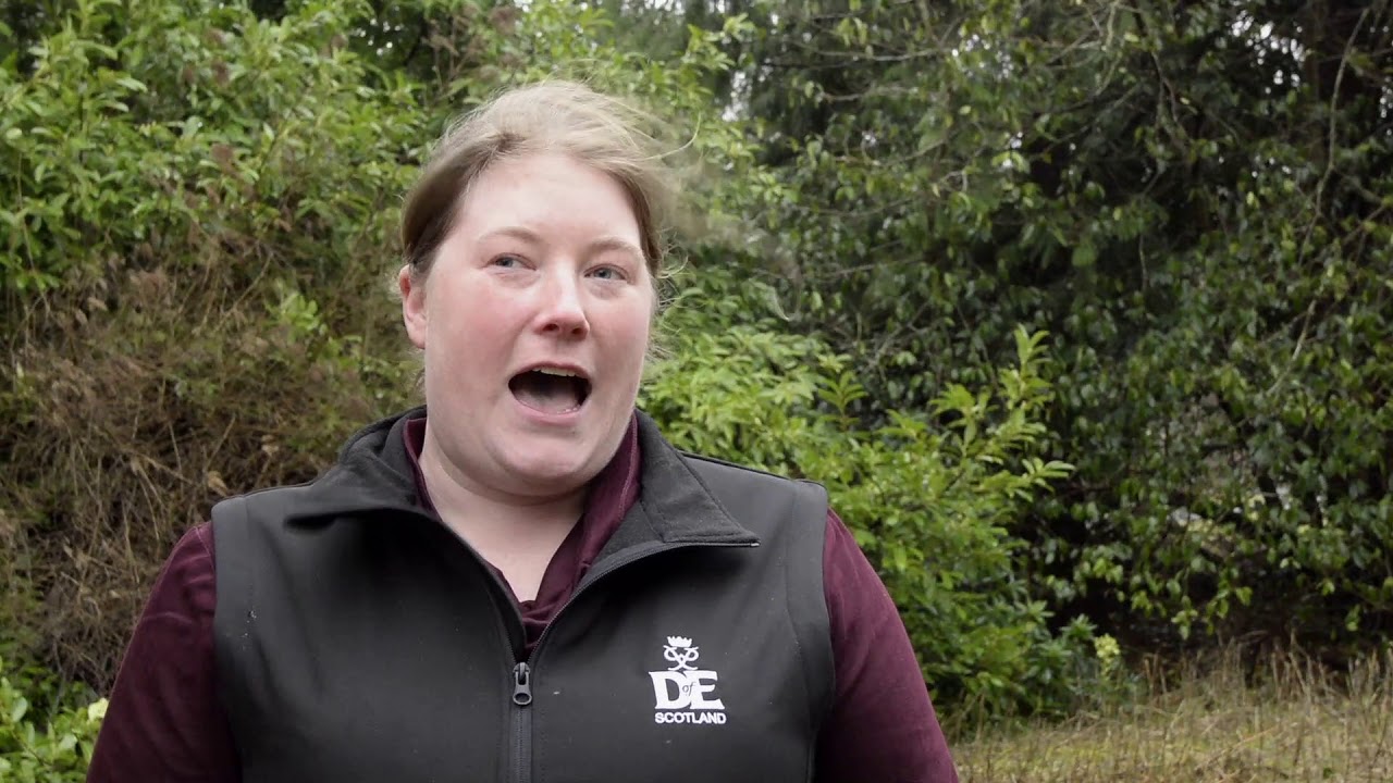 climate change projections Eleanor Birch