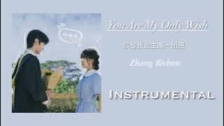 [Instumental] You Are My Only Wish (你是我此生唯一所愿) - Zhang Bichen (张碧晨) | Hidden Love OST | 偷偷藏不住