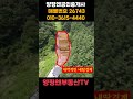 #shorts/독립적인 입지의 넓은 토지/양평군 단월면 향소리/615평/답/계획관리/양평전원주택,양평토지,급매물전문,양평엔[양평부동산]