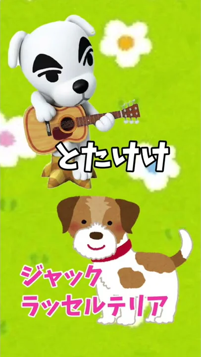 あつ森小ネタ落とし穴 あつ森小ネタ落とし穴