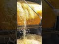 Processing Yellow Strands With Industrial Machine
