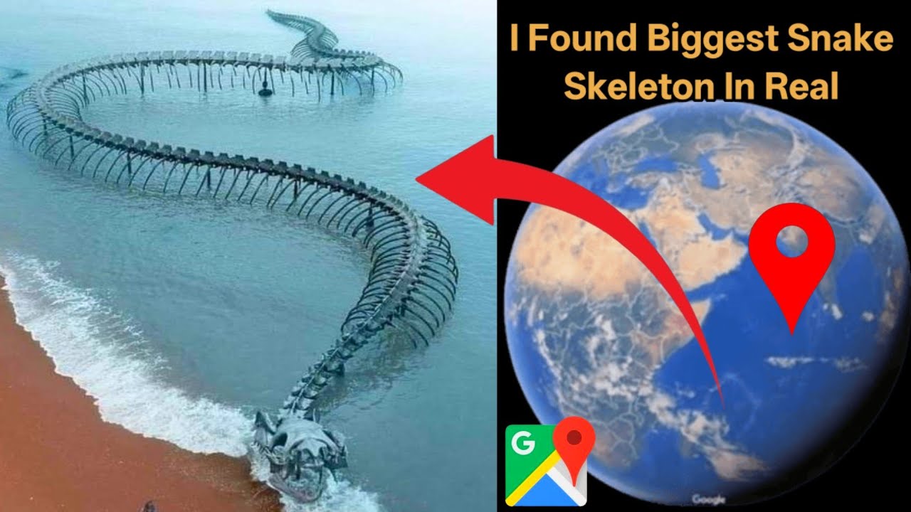I Found Biggest Snake Skeleton On Google Earth Find Earth Hand 