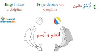 أرسم دلفينا