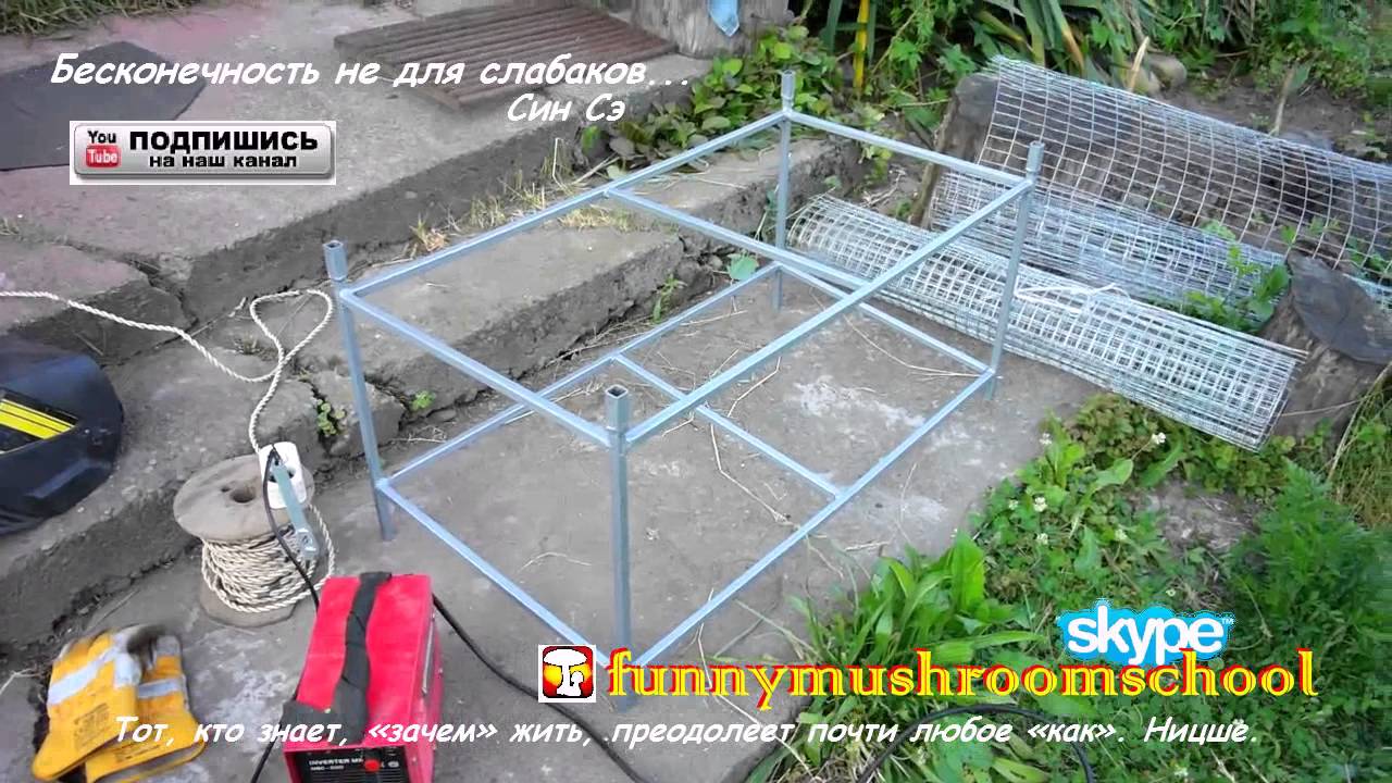 Сортам клубники для круглогодичного выращивания 180 Сортам клубники для круглогодичного выращивания 163