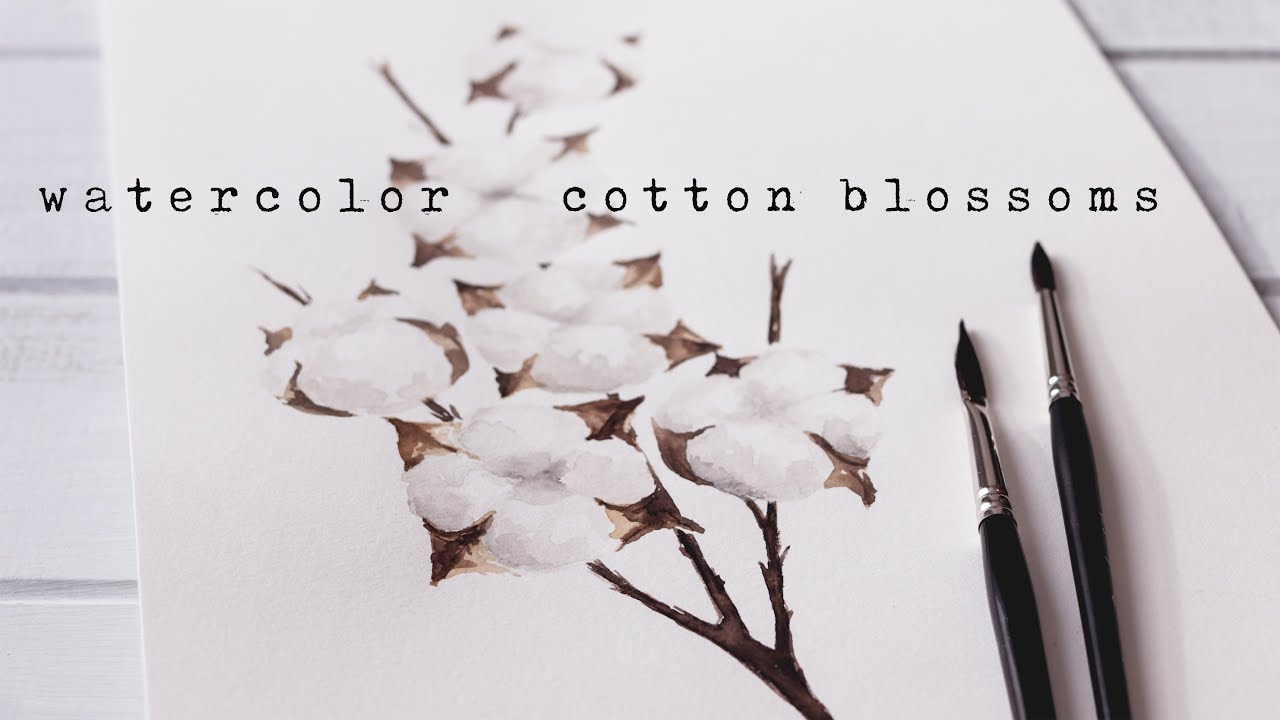 Five Step Watercolor Cotton YouTube