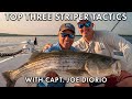 Capt joe diorios top 3 tactics for big stripers