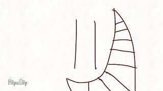 IMG 4168