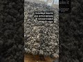 2nd video of this raw peg loomed fleece - Discovering the Art of Peg Loom Weaving