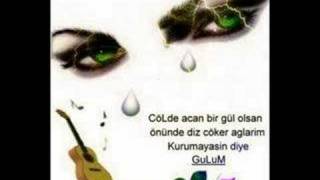 Erol Budan Arkadasca Sevsen Cansu Resimi