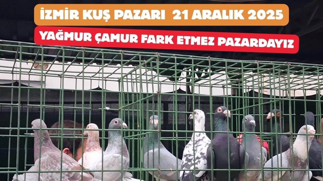 İZMİR KUŞ PAZARI #26 YAĞMUR ÇAMUR FARK ETMEZ PAZARDAYIZ