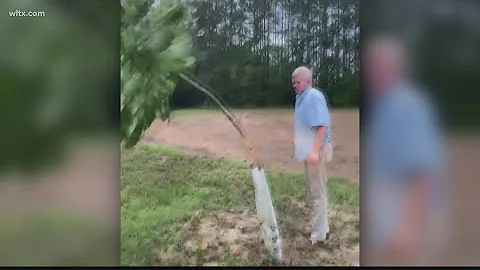 Former housekeeper testifies in Murdaugh murder trial