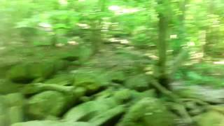 SASQUATCH VALLEY AREA OF ROCK CLACKING