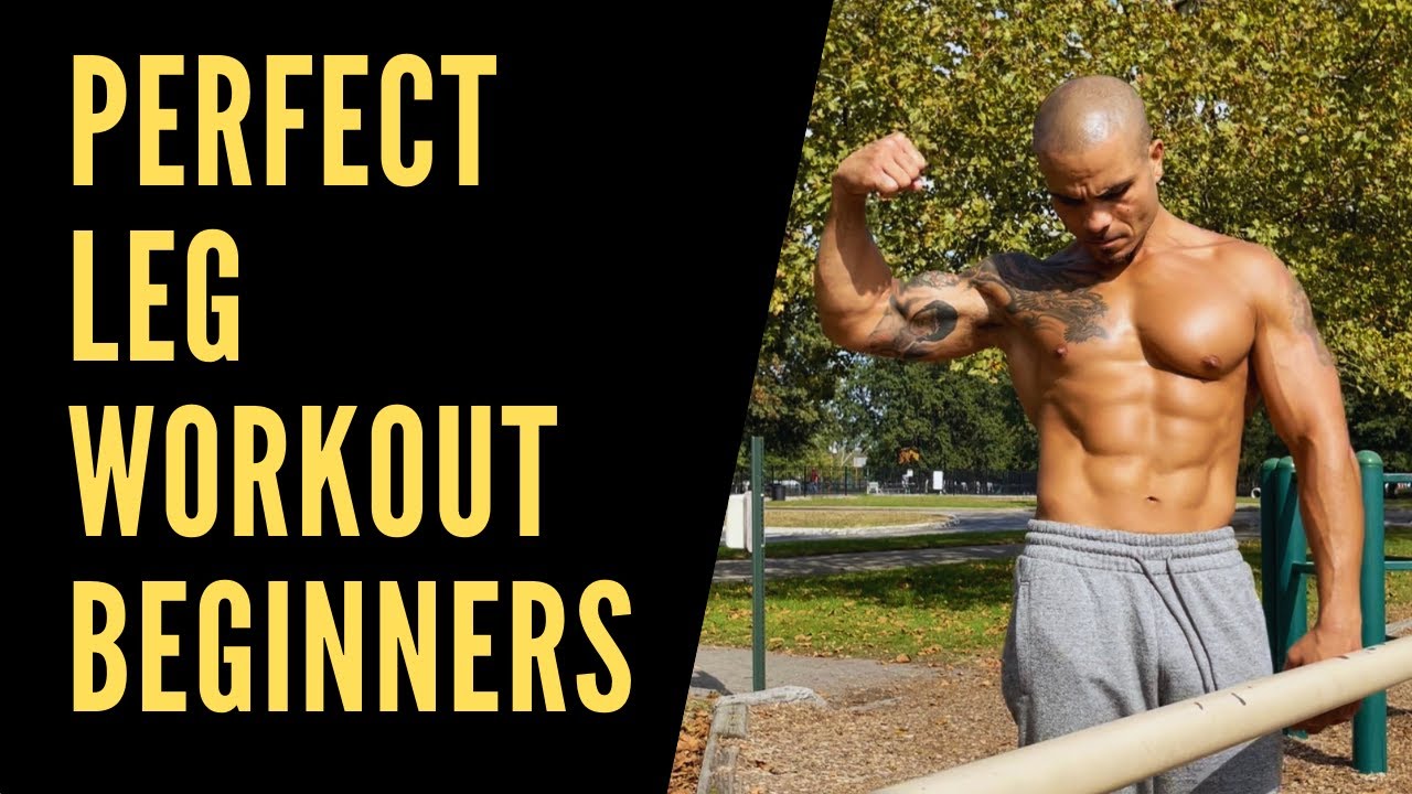 the perfect leg workout