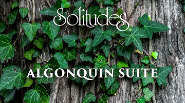 1 hour of Relaxing Music: Dan Gibson’s Solitudes - Algonquin Suite (Full Album)