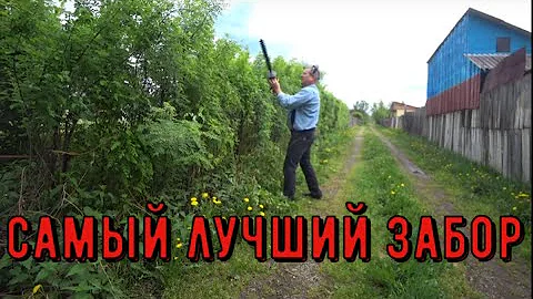 ✅ Самая лучшая изгородь и акации. Не гниёт и красить не надо.