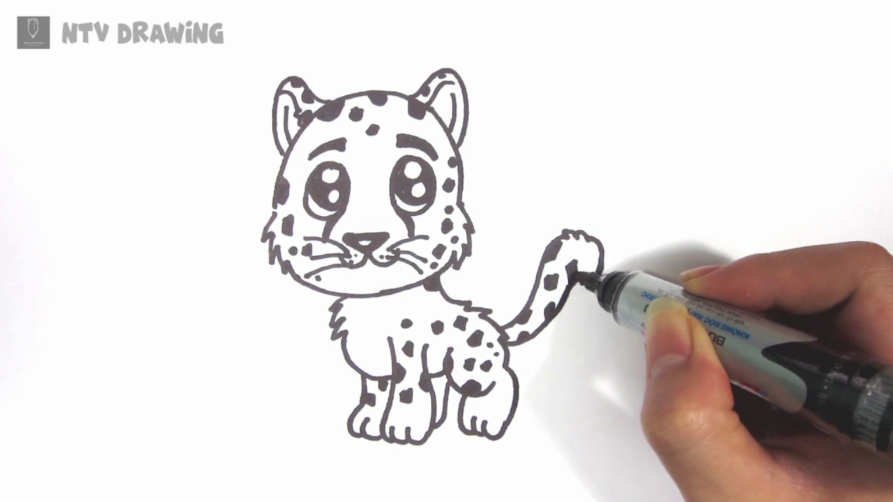 How to draw a Leopard Step by Step | Leopard Drawing Tutorial - YouTube