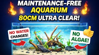 Maintenance-Free Aquarium π± 80CM Ultra Clear Tank β No Water Changes & No Algae!