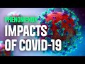 Impact of COVID-19 on Nature and Environment