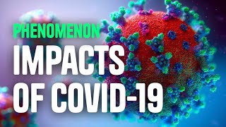 Science Phenomenon, Is COVID-19 Healing the Earth?