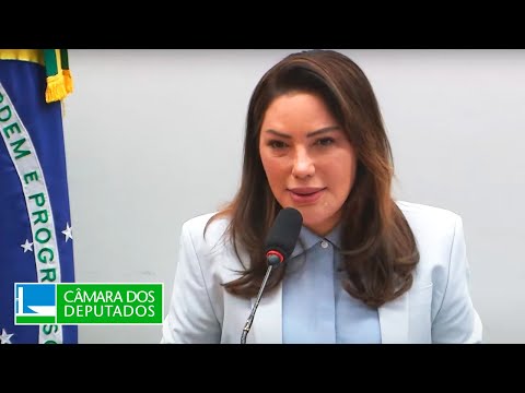 COMISSÃO DE VIAÇÃO E TRANSPORTES