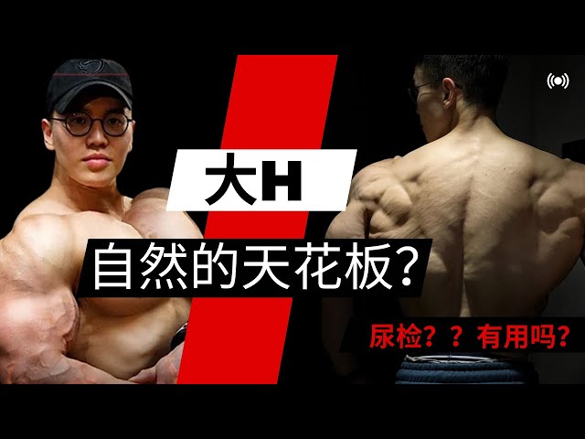 Re: [閒聊] 外國YouTuber認為大H非自然