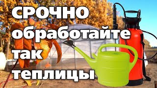 Осенняя Обработка Грядок В Теплицах. Это Важно, Если Растения Болели