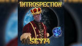 Introspection - Seym