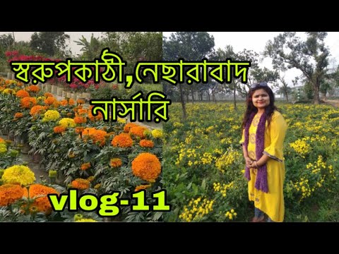 ভিডিও: আমরা নার্সারি সজ্জিত করি: আসবাব যা শিশুর কল্পনা জাগ্রত করে