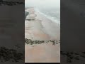Trying out my drone at the beach! New to drones and editing. #drone #cinematic