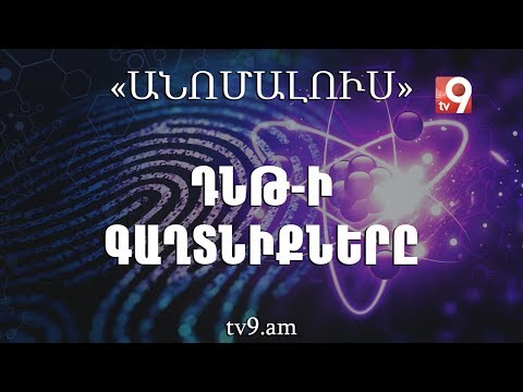 Video: Ի՞նչ է ԴՆԹ-ի կրկնօրինակումը