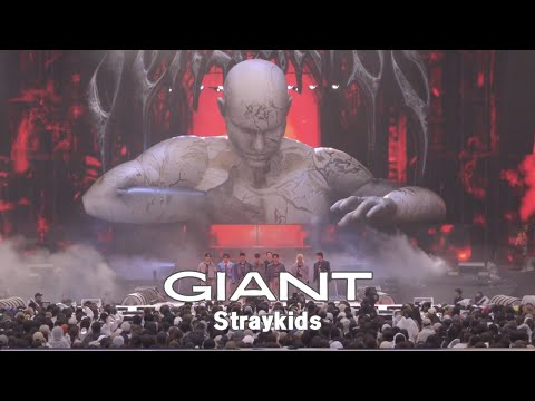 スキズとれか Stray Kidsグッズ フォト カード 55枚セット トレカ ストレイ