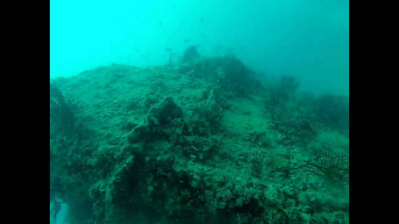 Tarpoon Dive Center around the bow of the Rio Miami