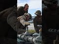 Combat Power in Minutes U S  Marines Rapid FARP Setup in Tinian  #military #army #militarypowe